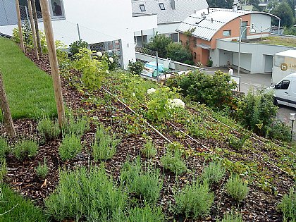 Gartenarbeiten Bild 17