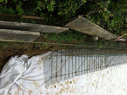 Gartenarbeiten Bild 9