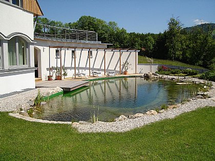 Schwimmteich Bild 21