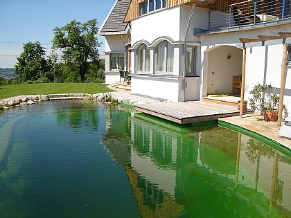 Schwimmteich Bild 19