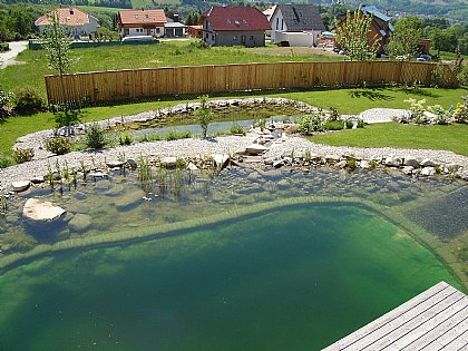 Schwimmteich Bild 18