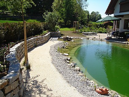 Schwimmteich Bild 17