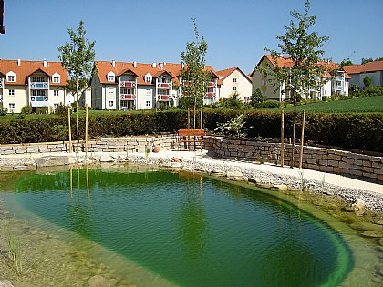 Schwimmteich Bild 16