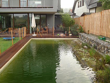 Schwimmteich Bild 15