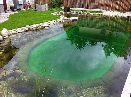 Schwimmteich Bild 10