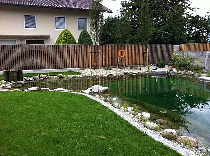 Schwimmteich Bild 9