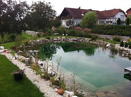 Schwimmteich Bild 8