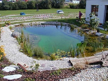 Schwimmteich Bild 4