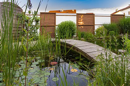 Brücke über einen Schwimmteich - © Manfred-Scheucher.at