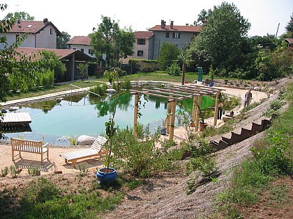 Schwimmteich Bild 2