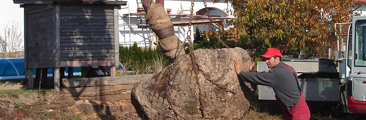 Gartenarbeiter beim Bäume pflanzen: Link zu Gartenarbeiten